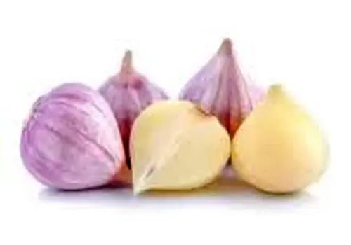 موسیر یک سوپر غذای شگفت انگیز برای کودکان
