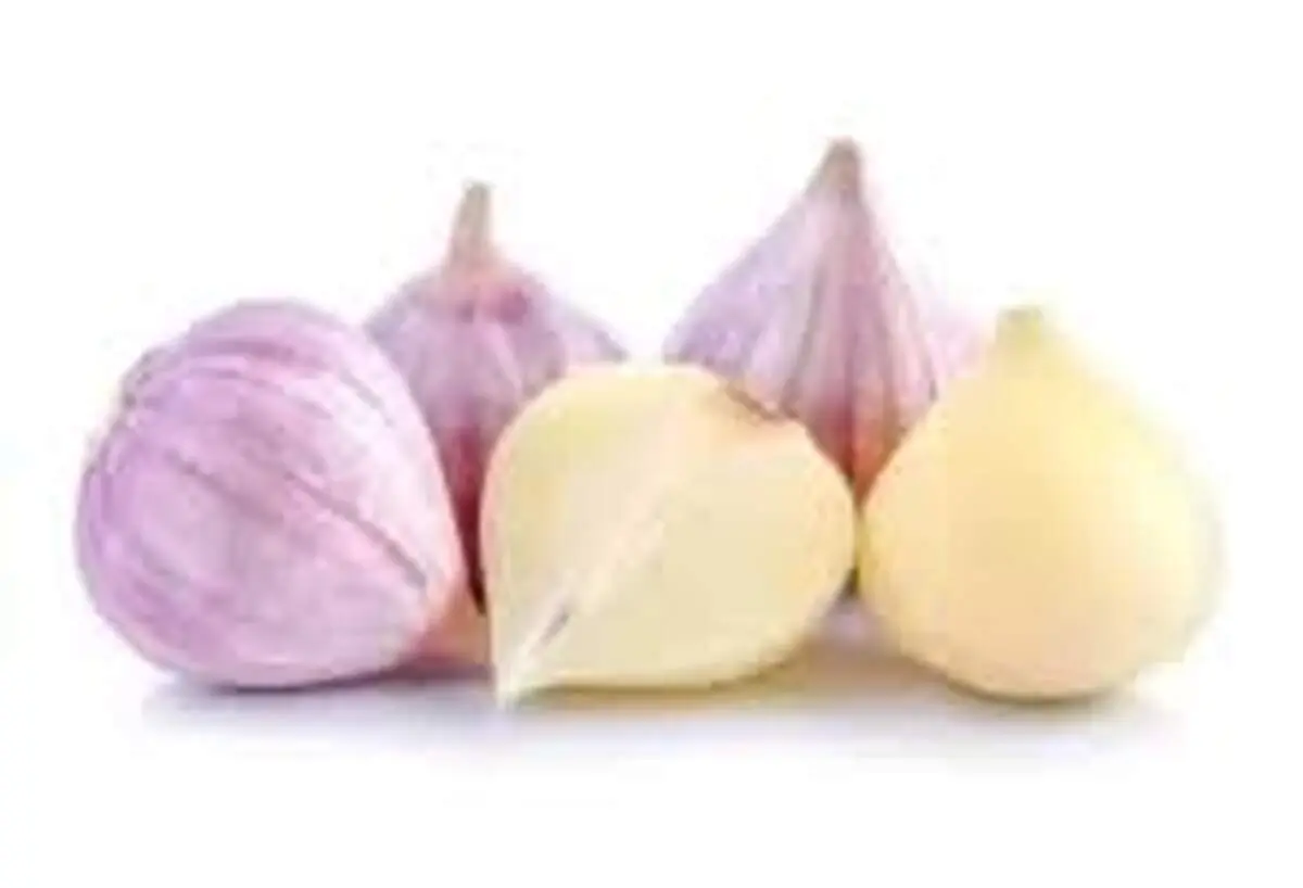 موسیر یک سوپر غذای شگفت انگیز برای کودکان
