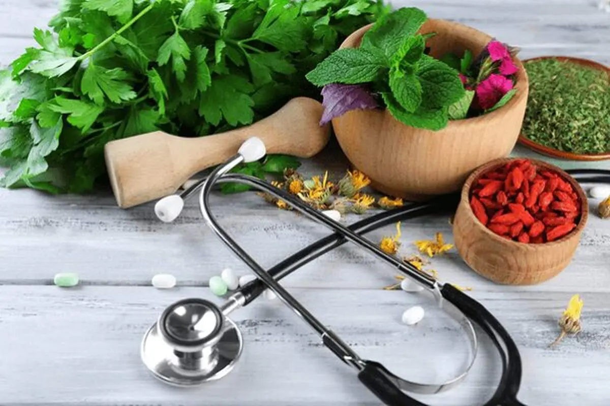 خار مریم؛ گیاهی با ترکیبات هدفمند برای سلامت کبد

