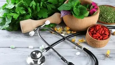 خار مریم؛ گیاهی با ترکیبات هدفمند برای سلامت کبد

