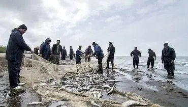 نرخ به‌روز ماهی‌های پرمصرف؛ امروز ۵ آبان ۱۴۰۴