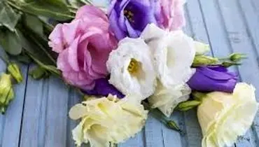 افزایش عمر گلهای شاخه بریده با چند روش مناسب
