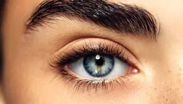 کشفی بی‌نظیر درباره بینایی انسان