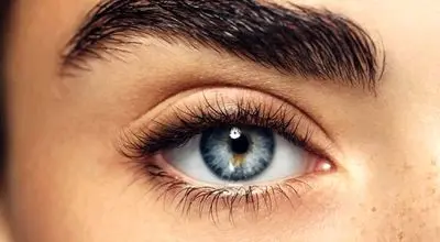 کشفی بی‌نظیر درباره بینایی انسان