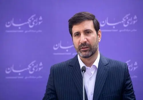 سخنگوی شورای نگهبان: از تک تک آرای مردم صیانت می‌کنیم  +فیلم