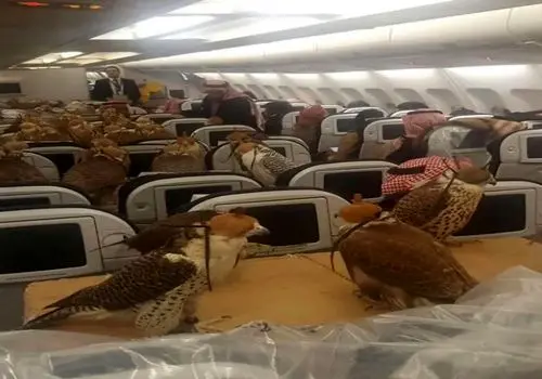 برخورد مرگبار دو هواپیما در آسمان کانادا 
