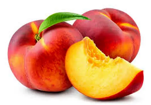 درباره خواص، مضرات و طبع میوه آووکادو
