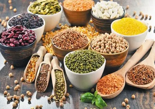 سالاد مرغ و سبزیجات با سس ویژه؛ طعم هیجان انگیز
