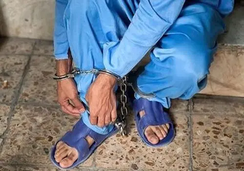 با گازگرفتگی توسط حیوانات چه باید کرد؟