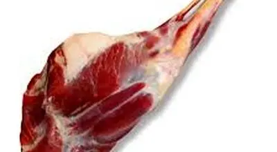 گوشت با قیمت جدید وارد بازار شد - ۱۸ آذر ۱۴۰۴