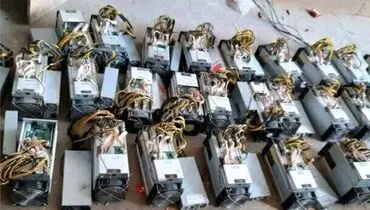 پرداخت ۵۰ میلیون تومان پاداش برای این افراد