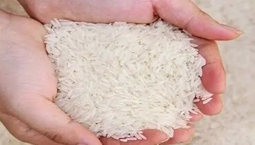 قیمت روز برنج هندی و پاکستانی در ۷ آبان ۱۴۰۴ اعلام شد

