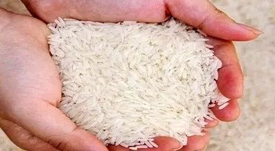 قیمت روز برنج هندی و پاکستانی در ۷ آبان ۱۴۰۴ اعلام شد
