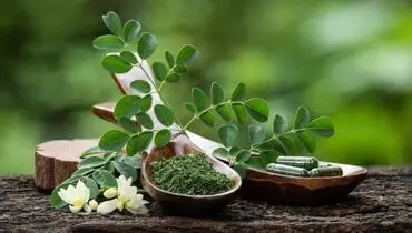 تنظیم  چربی و قند خون  با آب موریگانا 