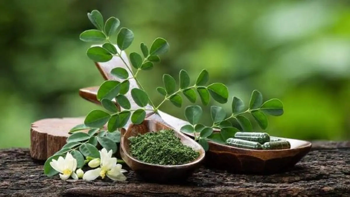 تنظیم  چربی و قند خون  با آب موریگانا 