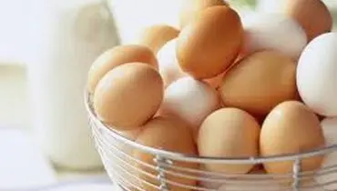  مقایسه مستقیم میان مرغ و تخم مرغ در چیست؟