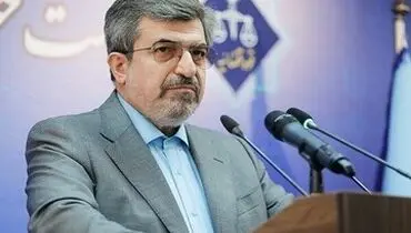 واکنش تلویحی سخنگوی قوه قضاییه به بازگشت معین