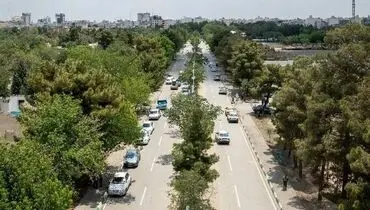قطع درختان پادگان ٠۶ ارتش در کمتر از یک ماه!