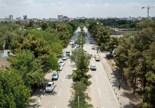 درختان می‌توانند دمای شهرها را تا ۱۲ درجه کاهش دهند؛ چگونه؟