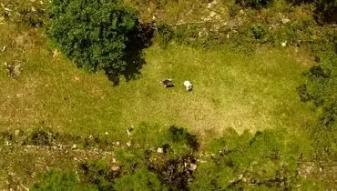 پیدا شدن شهر گمشده سنگی پس از ۱۲۰۰ سال در جنگل + عکس