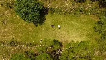 پیدا شدن شهر گمشده سنگی پس از ۱۲۰۰ سال در جنگل + عکس