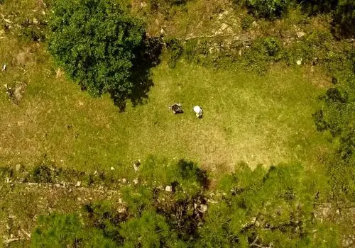 پیدا شدن شهر گمشده سنگی پس از ۱۲۰۰ سال در جنگل + عکس