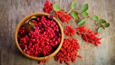 خواص بی نظیر زرشک در طب سنتی