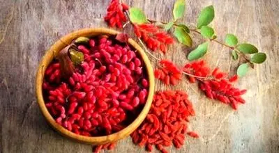 خواص بی نظیر زرشک در طب سنتی