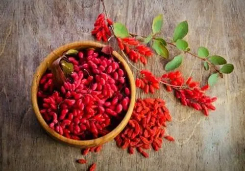 خواص بی نظیر زرشک در طب سنتی