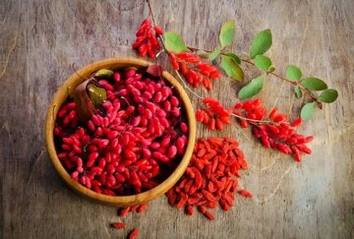 زرشک و این همه خواص؟!