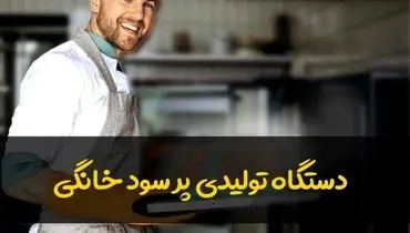 دستگاه های تولیدی پرسود خانگی کدامند؟ ( ایده های پر درآمد خانگی)