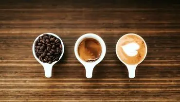 کافئین طبیعی بدن را بشناس؛ چرا نباید قهوه را اول صبح نوشید؟
