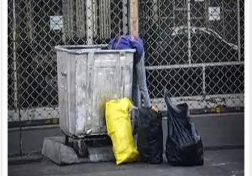 انداختن اوباش در سطل زباله با یازده میلیون بازدید/ ویدئو