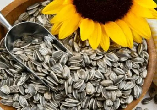 سرطان مزوتلیوما چگونه ایجاد می شود و چه علائمی دارد؟
