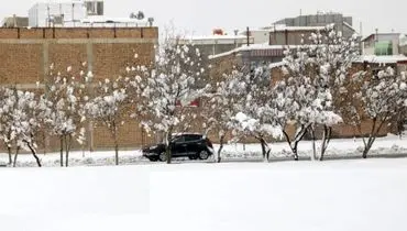 بارش باورنکردنی برف در یزد در بیست و ششمین روز بهار!+ فیلم