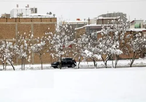 بارش برف بهاری در الیگودرز + فیلم