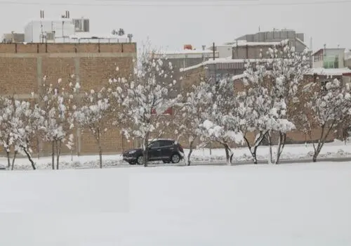 کولاک برف و توفان و ادامه روند بارش ها تا جمعه در این مناطق