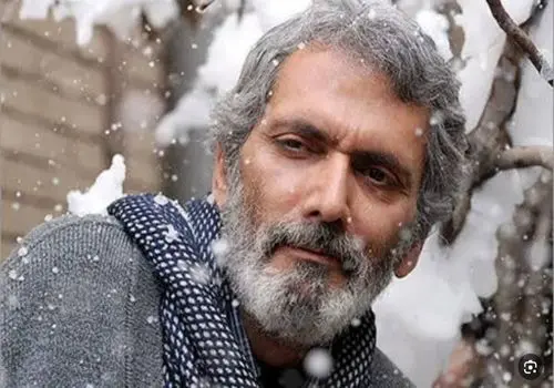 فرخ نعمتی چگونه بازیگر نقش امام رضا (ع) در سریال ولایت عشق شد/ویدیو 