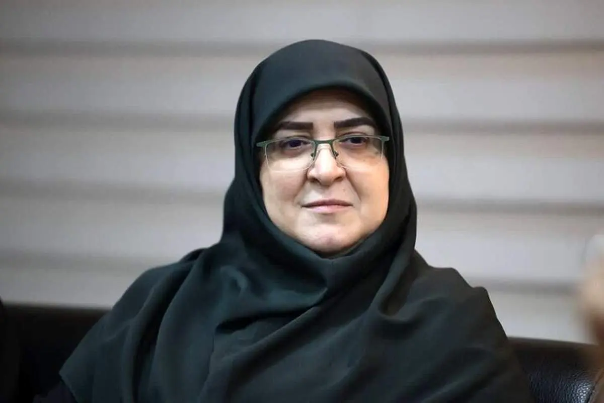 مهاجرانی: سیاست بنزینی دولت تدریجی است، نه غافلگیرکننده