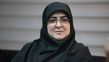 مهاجرانی: سیاست بنزینی دولت تدریجی است، نه غافلگیرکننده + فیلم