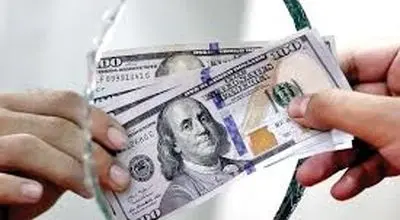 آمار حیرت‌انگیز همتی / بازار ارز زیر و رو شد
