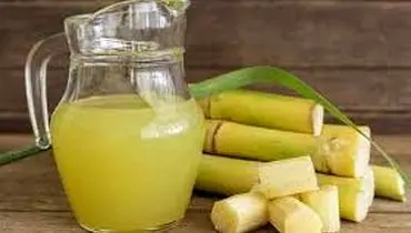 خواص نیشکر (از تامین انرژی تا تقویت سیستم ایمنی)
