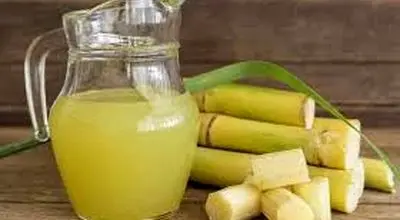 خواص نیشکر (از تامین انرژی تا تقویت سیستم ایمنی)
