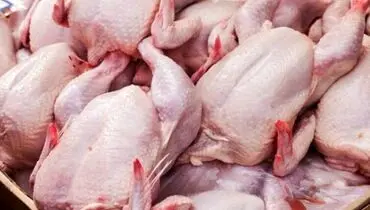مرغ و لبنیات مازاد در سردخانه‌های کشور ذخیره می شود