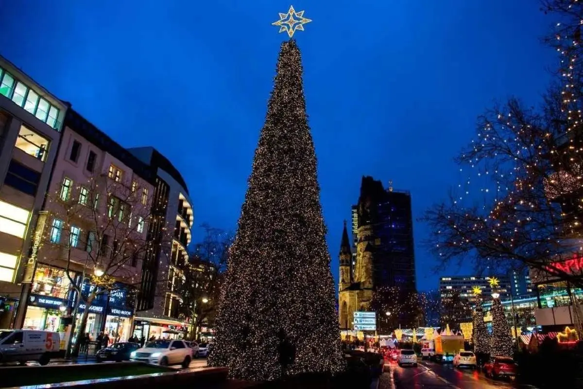 این درخت بلندترین درخت کریسمس در جهان شد + فیلم