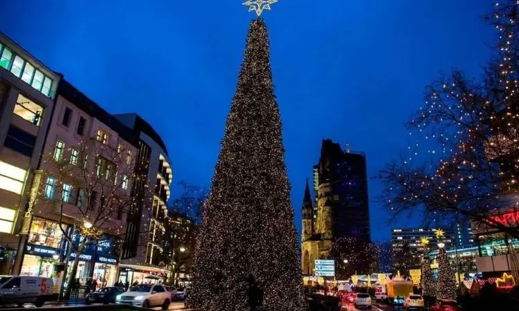 این درخت بلندترین درخت کریسمس در جهان شد + فیلم