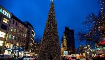 این درخت بلندترین درخت کریسمس در جهان شد + فیلم