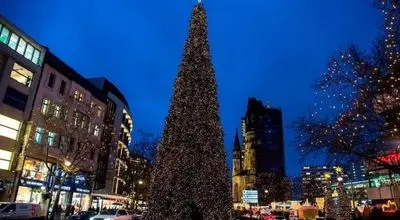 این درخت بلندترین درخت کریسمس در جهان شد + فیلم