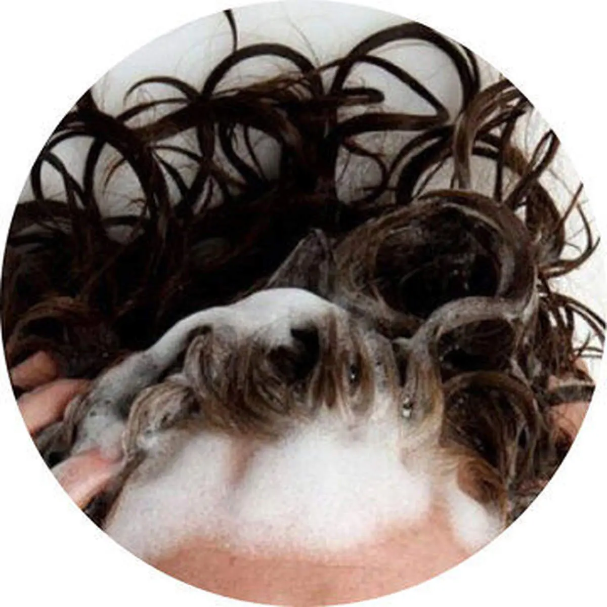 به این دلایل خوابیدن با موهای خیس ممنوع!
