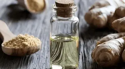 خواص عصاره زنجبیل؛ راهی طبیعی برای پیشگیری از فشار خون بالا

